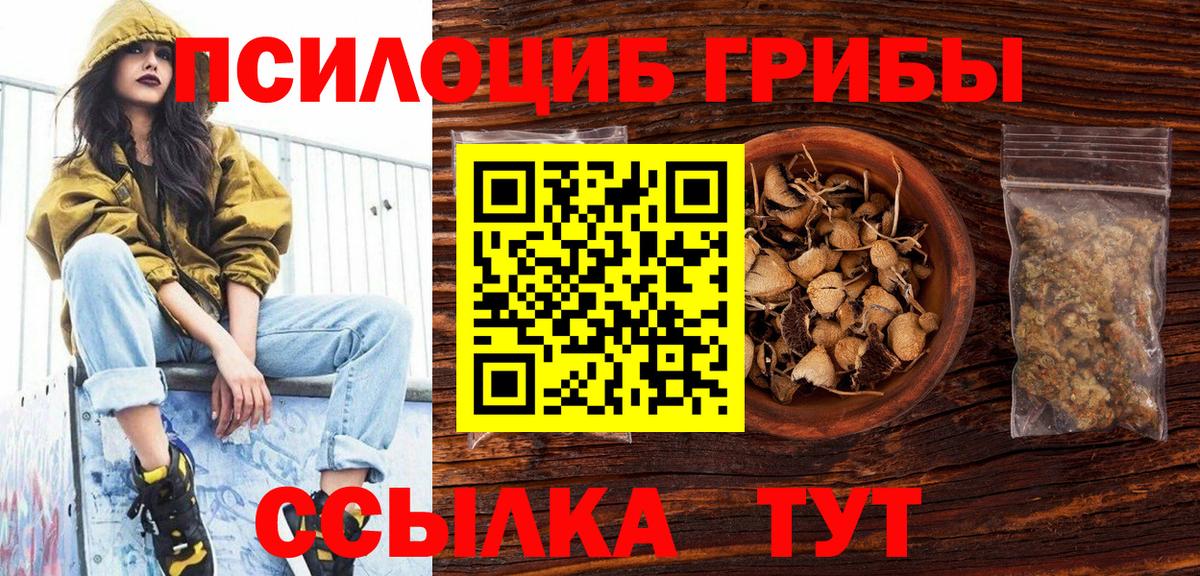 Галлюциногенные грибы Psilocybe  Вход с VPN  Кудымкар  Галлюциногенные грибы Cubensis 